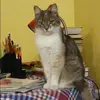 Отзыв от Алена Лопатина